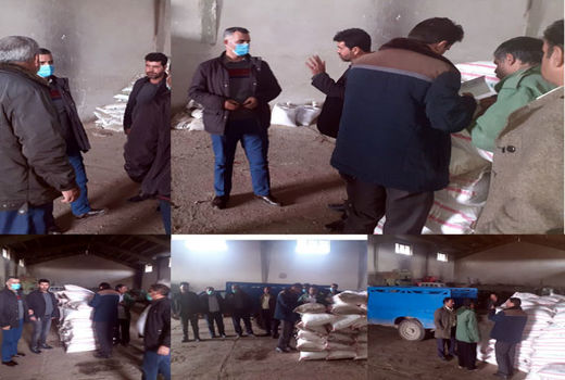 تامین و توزیع 3 هزار و 500 تن کود سرک بهاره در بین کشاورزان شهرستان هشترود