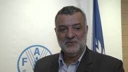 حجتی: تغییرات اقلیمی و ریزگردها از جمله موضوعات اجلاس فائو/ مذاکرات با ایتالیا برای صادرات خشکبار