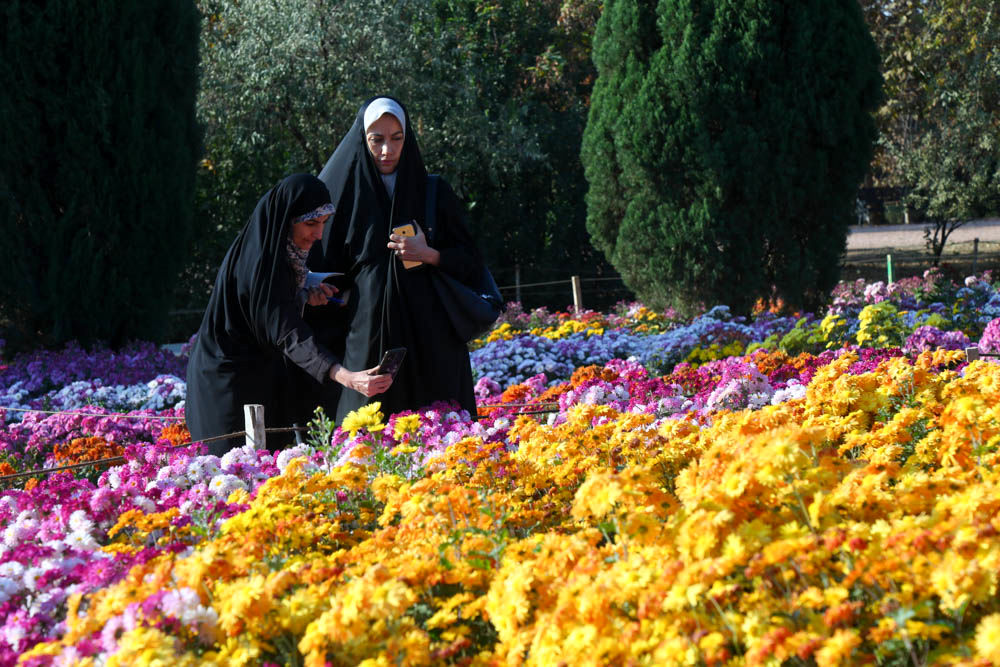 بازدید تور رسانه ای از باغ ملی گیاه شناسی ایران                   