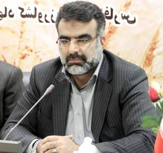 سطح زیر کشت گندم آبی فارس به 259 هزار هکتار می‌رسد