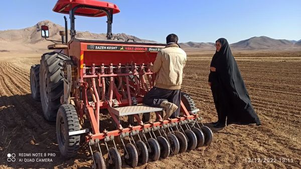 کاشت عدس دیم رقم بیله سوار در قالب طرح جهش تولید در دیمزارهای شهرستان بن چهارمحال وبختیاری   