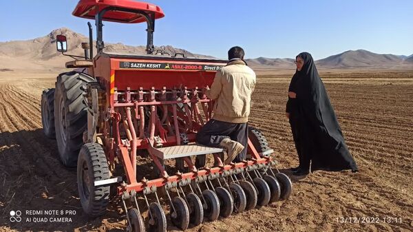 کاشت عدس دیم رقم بیله سوار در قالب طرح جهش تولید در دیمزارهای شهرستان بن چهارمحال وبختیاری   