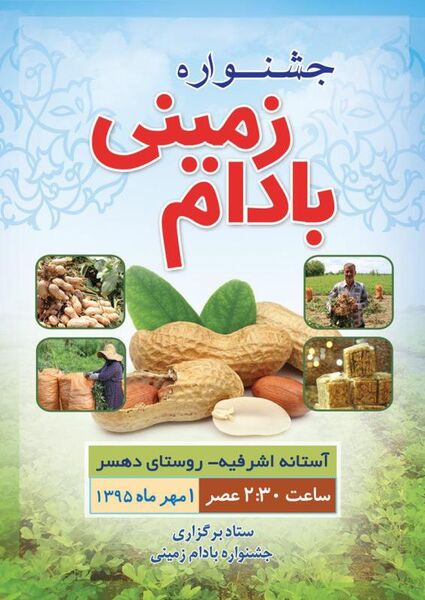 جشنواره بادام‌زمینی اول مهرماه برگزار می‌شود