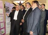 پرورش صدف های خوراکی برای صادرات و مشارکت بخش خصوصی در فرآوردهای زیستی دریایی