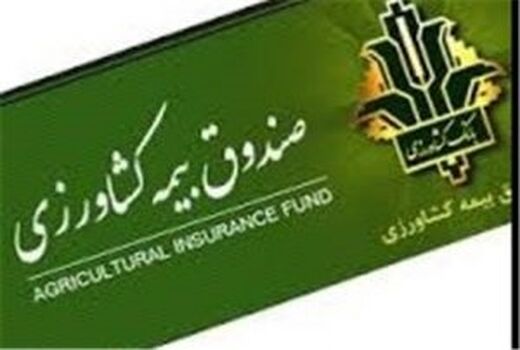 اتمام مهلت بیمه‌پذیری مرکبات و نخیلات نزدیک است