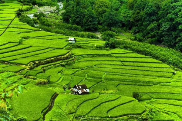 100 هزار هکتار زمین کشاورزی مازندران نوسازی و مجهز به آبیاری نوین شد 