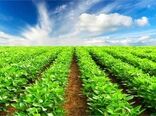 برگزاری نخستین تور رسانه‌ای مدیریت امور اراضی خوزستان 
