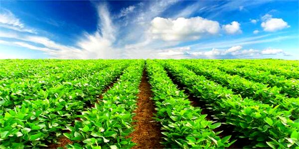 برگزاری نخستین تور رسانه‌ای مدیریت امور اراضی خوزستان 