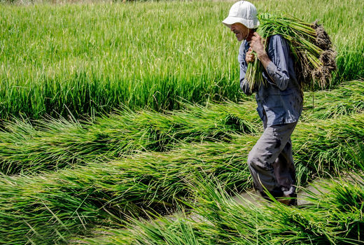 نظام منزلت، شبیه گذشته نیست