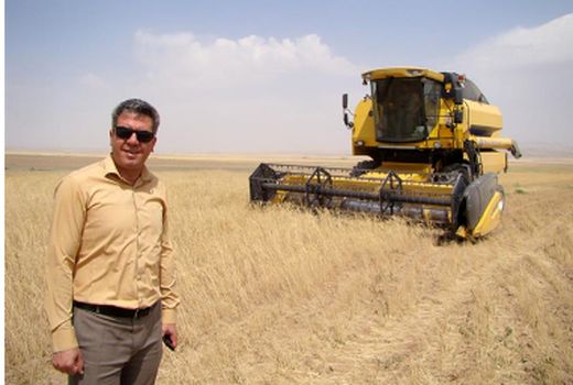 آغاز  برداشت  محصول گندم از مزارع  شهرستان آشتیان و تحویل به مراکز مجاز خرید گندم .