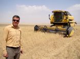 آغاز  برداشت  محصول گندم از مزارع  شهرستان آشتیان و تحویل به مراکز مجاز خرید گندم .