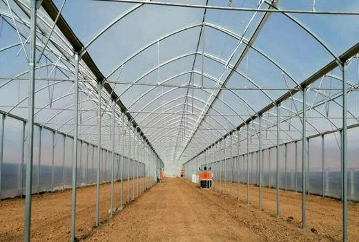 ۷.۴ هکتار گلخانه در شهرستان خانمیرزا احداث می شود