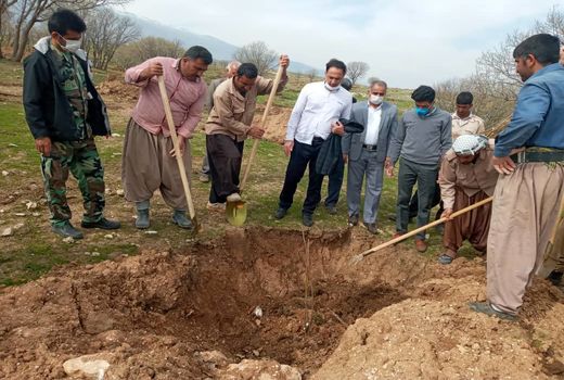 تولید  سالیانه بیش از 600 تن محصولات باغی در شهرستان بدره 