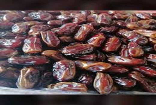 ثبت رکورد خرید توافقی خرمای استعمران صادراتی در خوزستان
