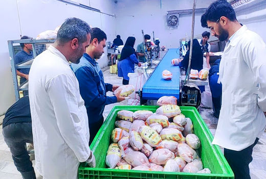 نظارت های بهداشتی و شرعی دامپزشکی در کشتارگاه‌های طیور رامهرمز