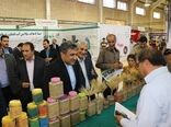 گسترش صادرات کشاورزی، مستلزم توسعه صنایع تبدیلی است