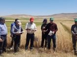 تبیین آخرین دستاوردهای تحقیقاتی موسسه دیم در شهرستان هشترود
