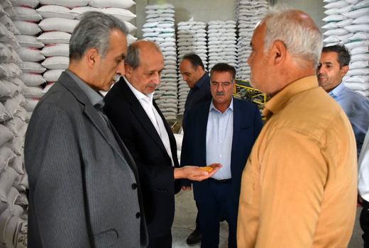 آذرشهر؛ پایتخت بی‌رقیب تولید لپه کشور و قطب فرآوری حبوبات خاورمیانه