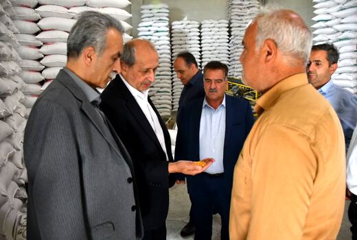 آذرشهر؛ پایتخت بی‌رقیب تولید لپه کشور و قطب فرآوری حبوبات خاورمیانه