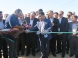 مجتمع هندیجان 70 درصد به تولیدمیگوی کشور اضافه می‌کند 