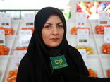 رشد 32 درصدی تولید میوه‌های گرمسیری در ایران طی سه سال