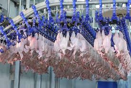 خروج ۱۳۸ تن پروتئین حرام از چرخه کشتارگاه های اصفهان