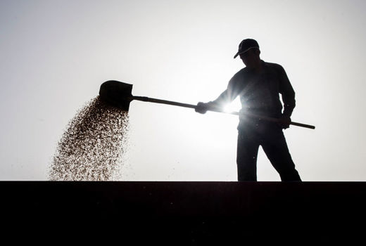 هزینه و فایده در گفتمان واردات گندم