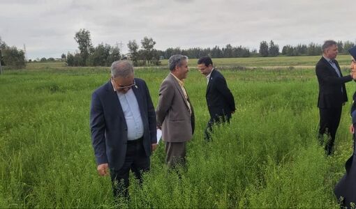  تمرکز بر بذر، مزارع الگویی و امنیت غذایی