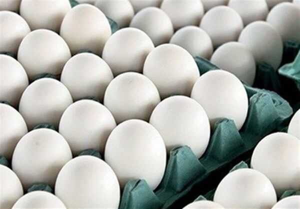 پیش بینی تولید بیش از 5 هزارتن تخم مرغ در چهارمحال و بختیاری 