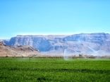 خودکفایی ۹۹ درصدی کشاورزی ایران در تجهیزات آبیاری نوین
