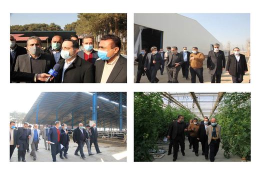 بازدید رئیس سازمان مدیریت و برنامه ریزی استان تهران از سه پروژه کشاورزی