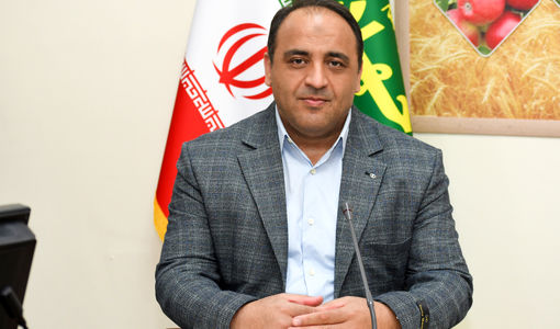 ضرورت ارتقای سواد رسانه‌ای کارکنان برای ایفای نقش الگویی در جامعه کشاورزی