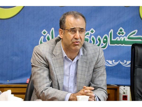 ارسال روزانه ۱۵۰ تن مرغ به تهران