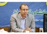 ارسال روزانه ۱۵۰ تن مرغ به تهران