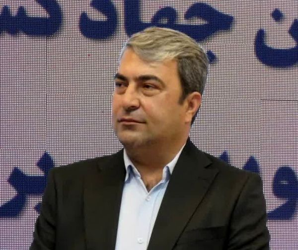 برداشت میوه سیب از باغهای کهگیلویه و بویراحمد