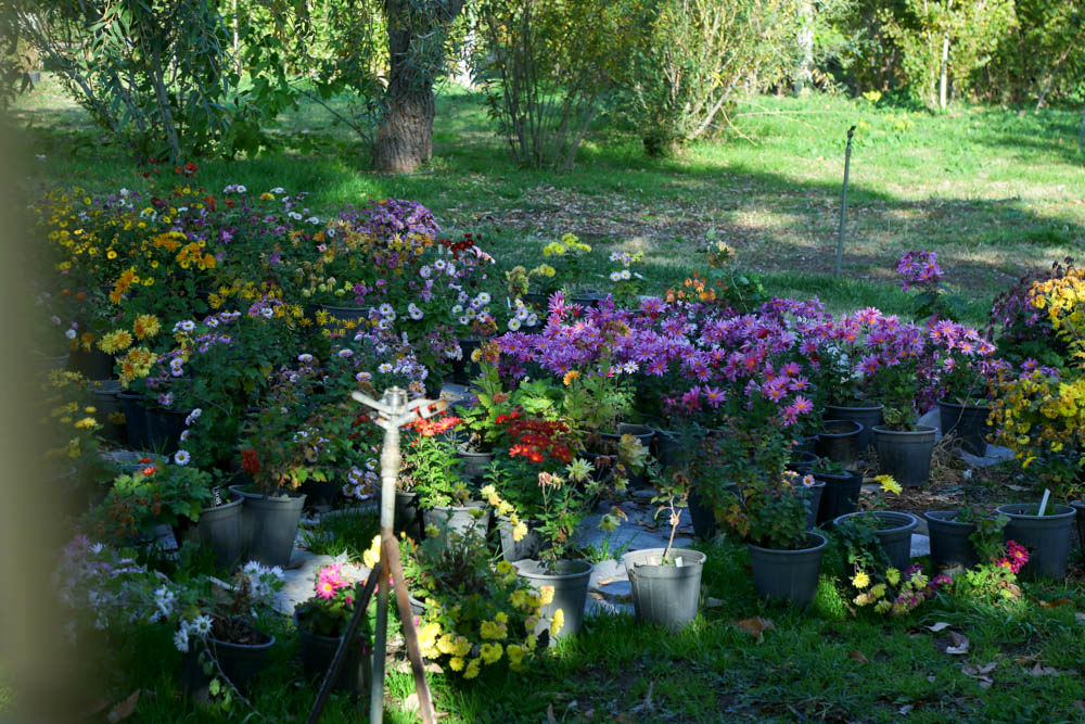 بازدید تور رسانه ای از باغ ملی گیاه شناسی ایران                   