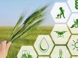 دانش‌محوری راه‌حل چالش‌های کشاورزی است/ لزوم افزایش تعرفه خدمات کشاورزی و دامپزشکی