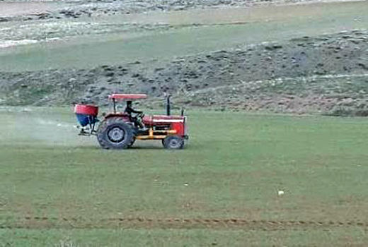 توزیع 4 هزار و 200 تن کود سرک بهاره در بین کشاورزان شهرستان هشترود