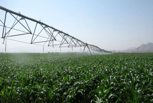 55 طرح کشاورزی در ایام دهه مبارک فجر  در استان مرکزی به بهره‌برداری می‌رسد 