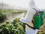 نیروهای میدانی محور اصلی مدیریت آفات کشاورزی 
