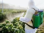 نیروهای میدانی محور اصلی مدیریت آفات کشاورزی 