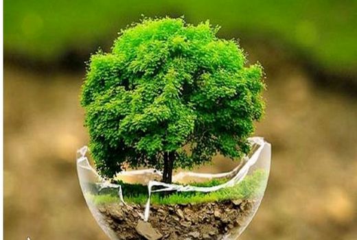 تخریب و تصرف در عرصه های منابع طبیعی را به 1504 گزارش دهید