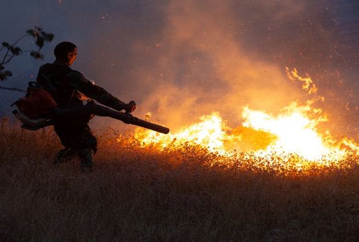 آتش‌سوزی جنگل‌های بلوط بلند چهارمحال و بختیاری دوباره مهار شد