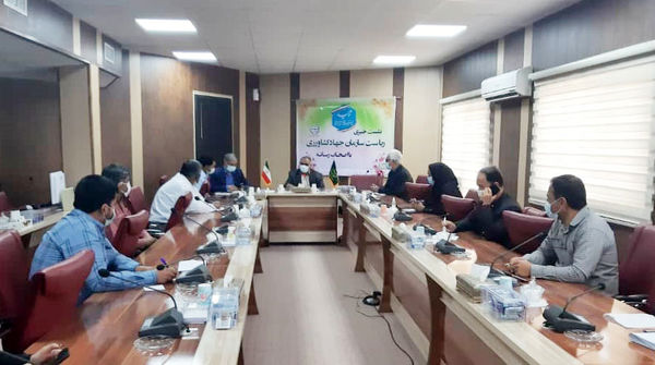 تغییر الگوی کشت راهکار رونق بخش کشاورزی سیستان است