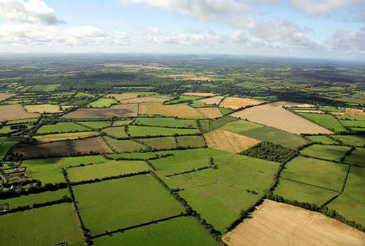 طرح رفع تداخلات در 73856  هکتار از اراضی شهرستان مراغه اجرا شد