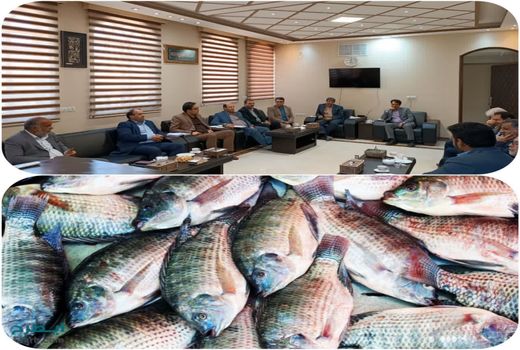 ایجاد شهرک پایلوت کشوری پرورش ماهی تیلاپیا در یزد