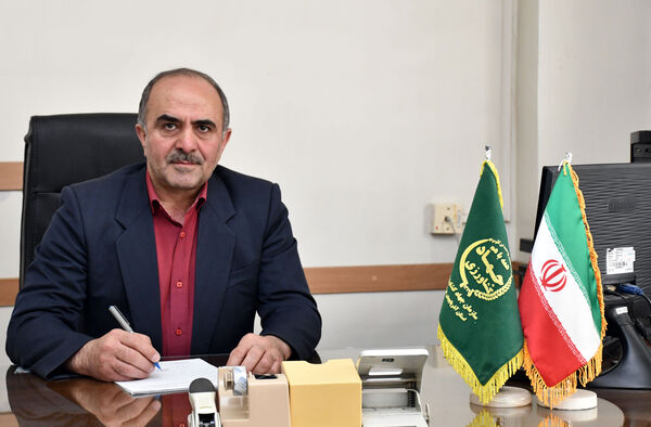 رفع ممنوعیت جابجایی خوراک آماده دام بین استانها