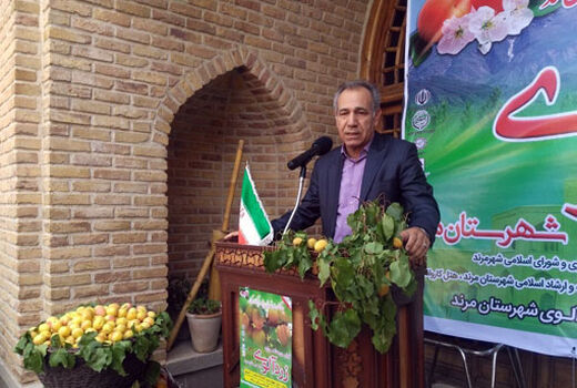 آذربایجان شرقی رتبه اول تولید  زردآلو در کشور 