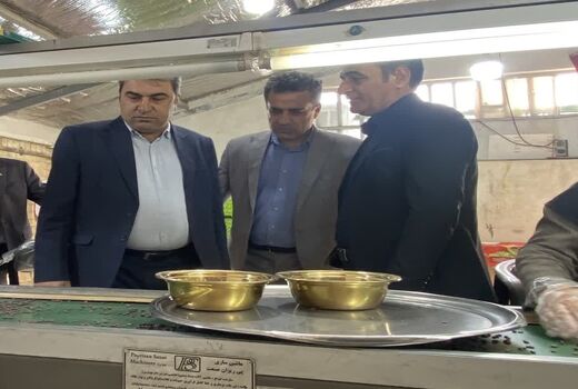 تقویت زنجیره ارزش کشاورزی با محوریت صنایع تبدیلی در کهگیلویه و بویراحمد
