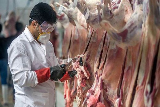 ذبح دام عید قربان فقط در کشتارگاه  